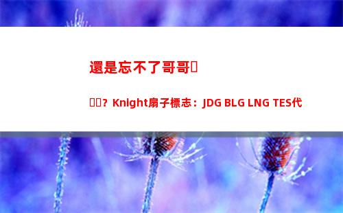 還是忘不了哥哥？Knight扇子標志：JDG BLG LNG TES代表LPL出征